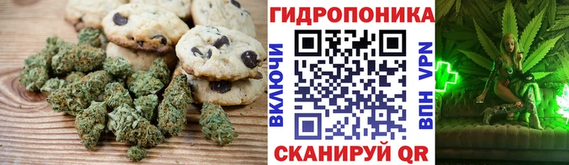 Cannafood марихуана  Купить где  Гдов 