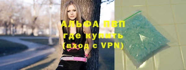 сатива Зерноград