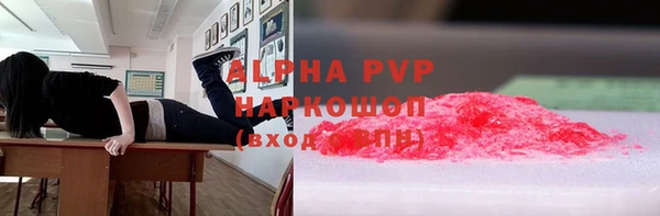сатива Зерноград