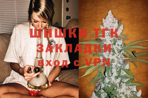 сатива Зерноград