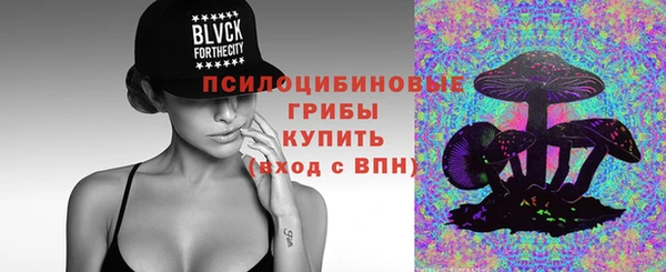 сатива Зерноград