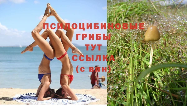 мяу мяу кристалл Зеленокумск