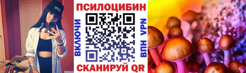 Купить закладки Гдов Галлюциногенные грибы Psilocybine cubensis